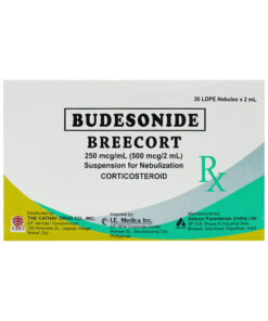 BREECORT SUSP 250mcg/ml(500mcg/2ml)